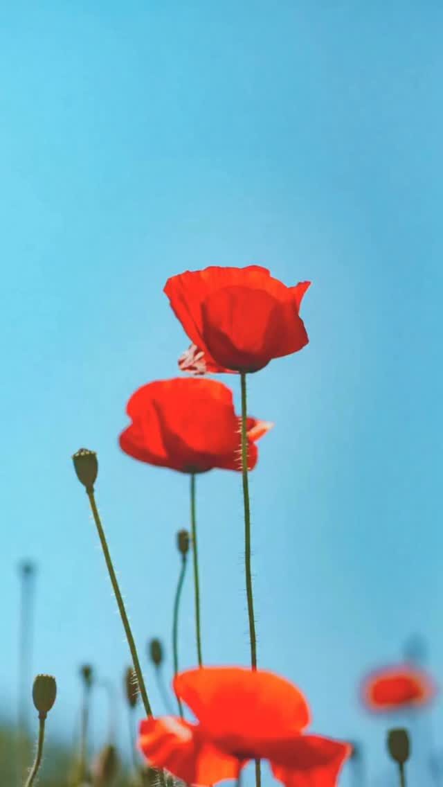 Instagram post from drtadeusz_oleszczuk. This post is in position 2.